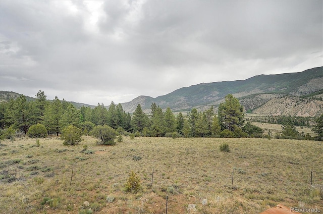18340 S Lake Rd, Buena Vista, CO 81211 - view of mountain backdrop