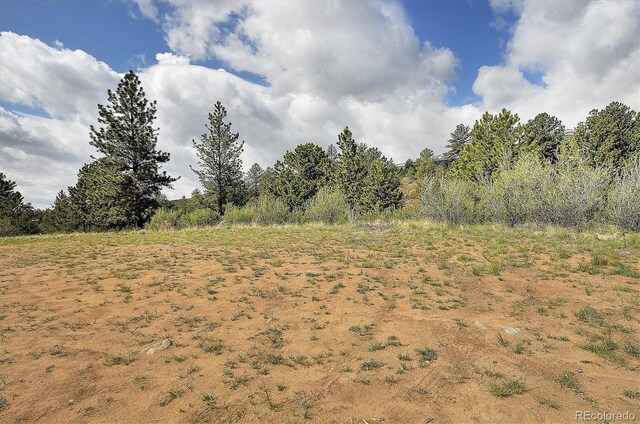 18340 S Lake Rd, Buena Vista, CO 81211 - view of undeveloped land