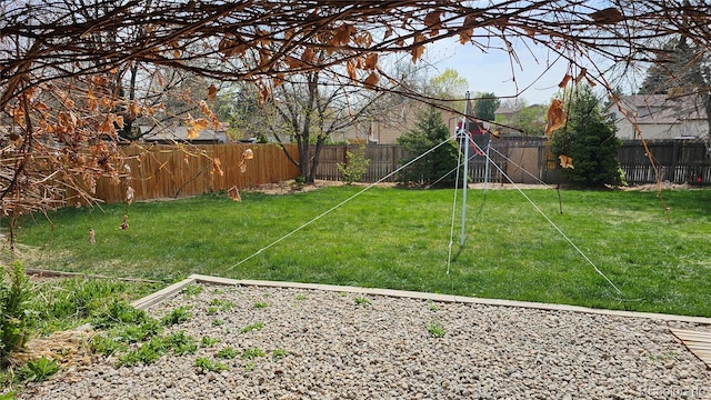 view of yard with a fenced backyard