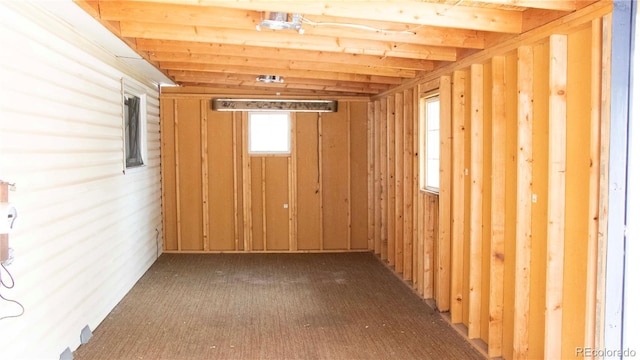 view of basement