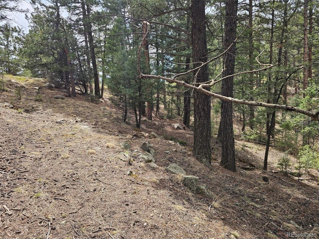360 Hi Meadow Dr, Bailey, CO 80421