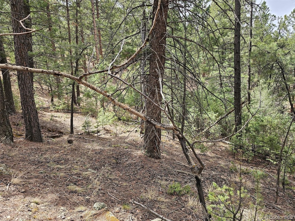 360 Hi Meadow Dr, Bailey, CO 80421