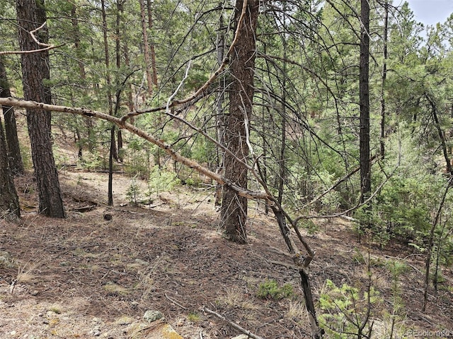 360 Hi Meadow Dr, Bailey, CO 80421