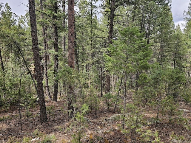 360 Hi Meadow Dr, Bailey, CO 80421