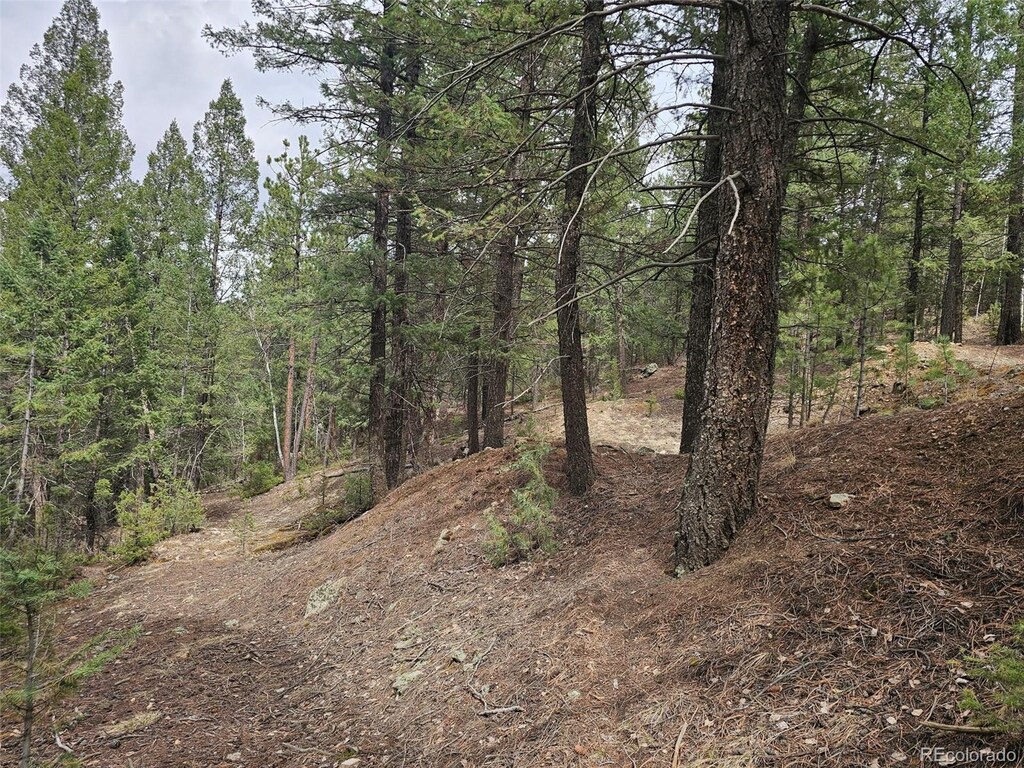 360 Hi Meadow Dr, Bailey, CO 80421