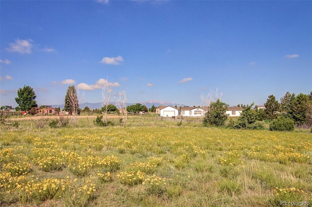 17260 Honeydew Ct, Peyton, CO 80831