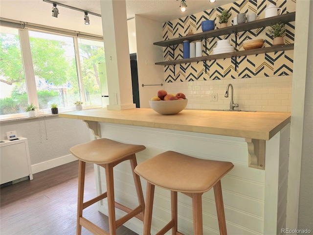 bar with butcher block counters, radiator heating unit, rail lighting, dark hardwood / wood-style flooring, and decorative backsplash