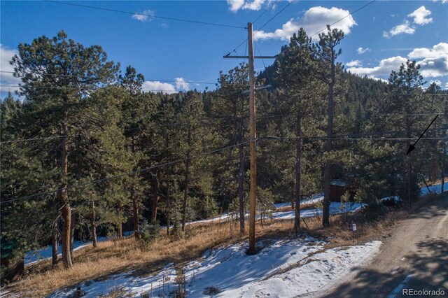 5925 Herzman Dr, Evergreen, CO 80439