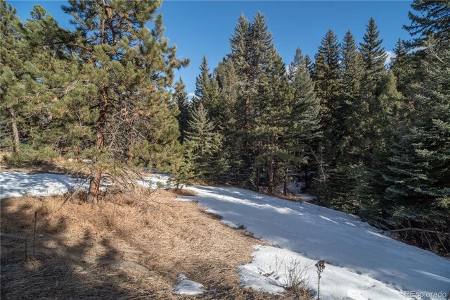5925 Herzman Dr, Evergreen, CO 80439