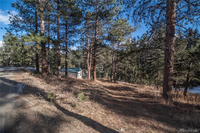 5925 Herzman Dr, Evergreen, CO 80439