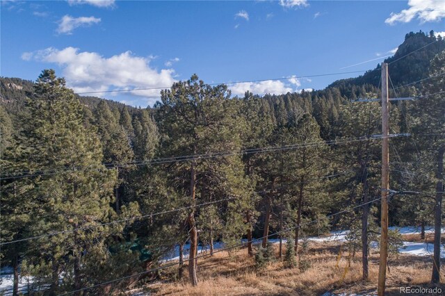 5925 Herzman Dr, Evergreen, CO 80439