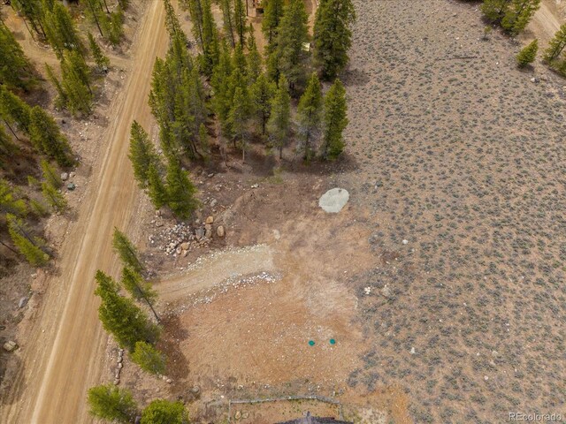 123 Birch Dr, Leadville, CO 80461