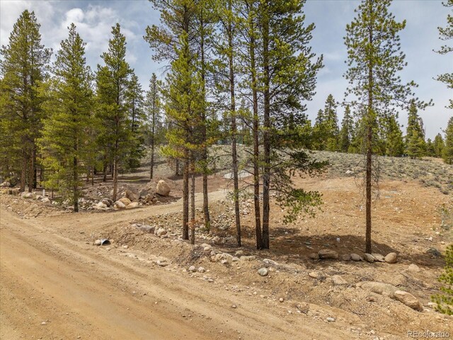 123 Birch Dr, Leadville, CO 80461