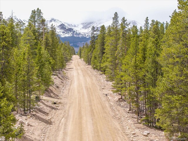 123 Birch Dr, Leadville, CO 80461