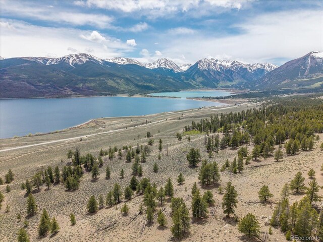 123 Birch Dr, Leadville, CO 80461