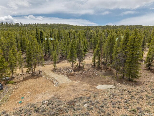 123 Birch Dr, Leadville, CO 80461