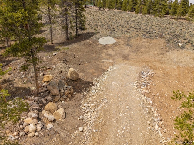 123 Birch Dr, Leadville, CO 80461