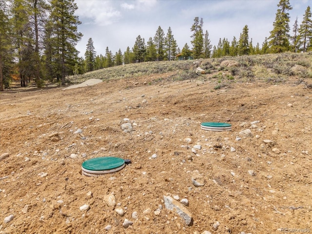 123 Birch Dr, Leadville, CO 80461