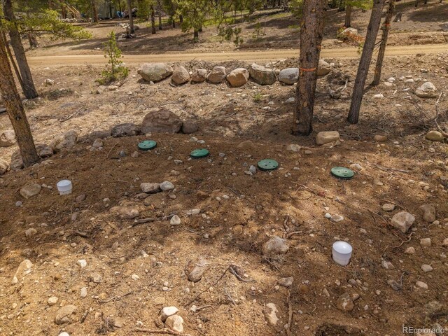 123 Birch Dr, Leadville, CO 80461