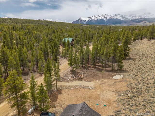 123 Birch Dr, Leadville, CO 80461