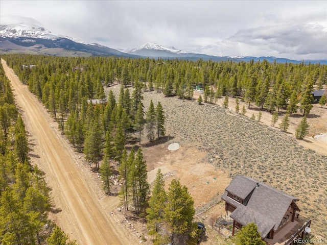 123 Birch Dr, Leadville, CO 80461
