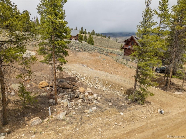 123 Birch Dr, Leadville, CO 80461