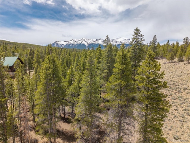123 Birch Dr, Leadville, CO 80461