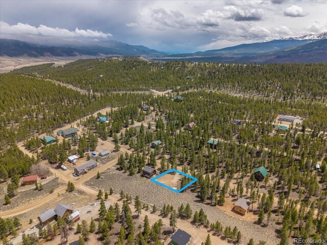 123 Birch Dr, Leadville, CO 80461
