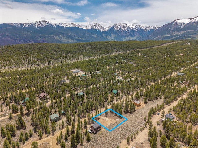 123 Birch Dr, Leadville, CO 80461