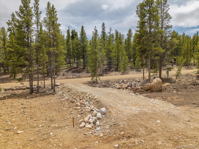 123 Birch Dr, Leadville, CO 80461