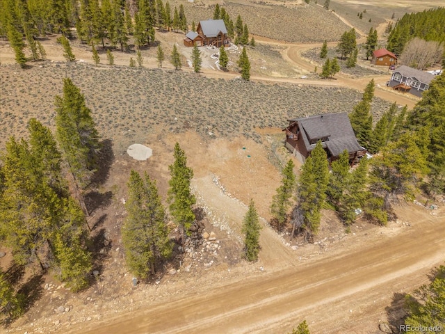 123 Birch Dr, Leadville, CO 80461