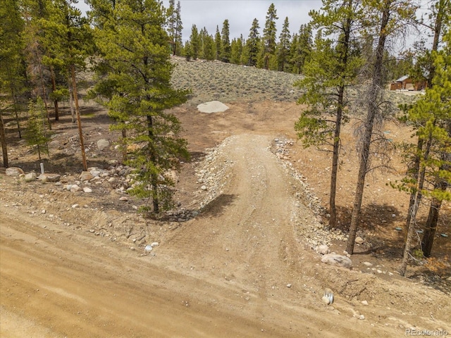 123 Birch Dr, Leadville, CO 80461