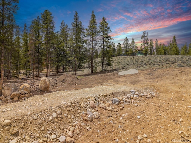 123 Birch Dr, Leadville, CO 80461
