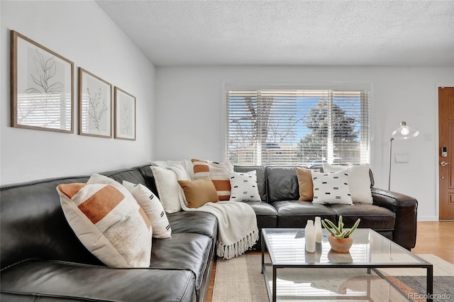 living room featuring a textured ceiling and light wood-type flooring