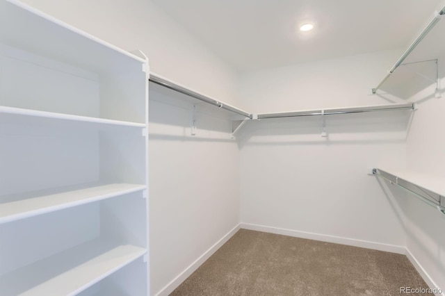 walk in closet with carpet