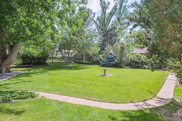 3225 S Race St, Englewood, CO 80113 - view of yard