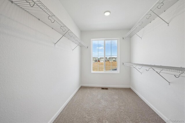 4666 Sugar Beet St, Johnstown, CO 80534 - photo 18