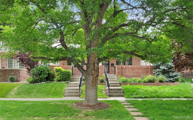 538 Cook St, Denver, CO 80206 - obstructed view of property featuring brick siding, stairs, and a front lawn