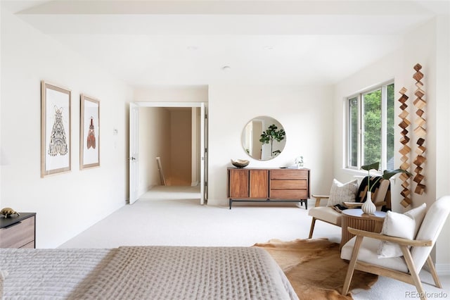 538 Cook St, Denver, CO 80206 - view of carpeted bedroom