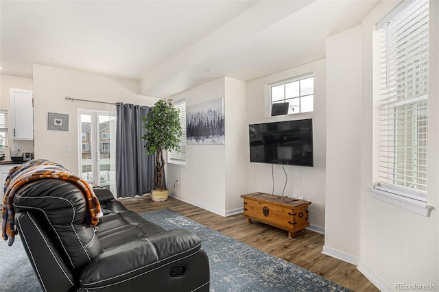 living room with dark hardwood / wood-style floors