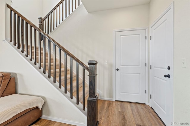 21 N Edge Cliff St, Castle Rock, CO 80104 - photo 23