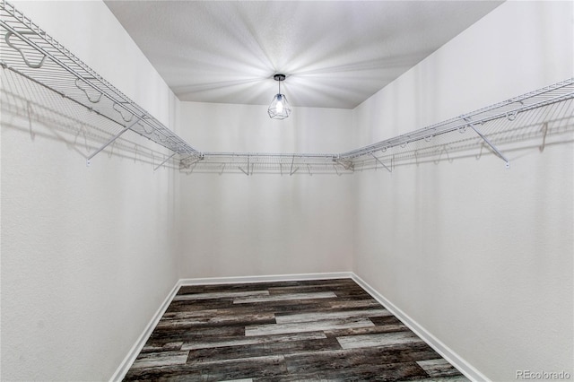 spacious closet featuring dark hardwood / wood-style floors