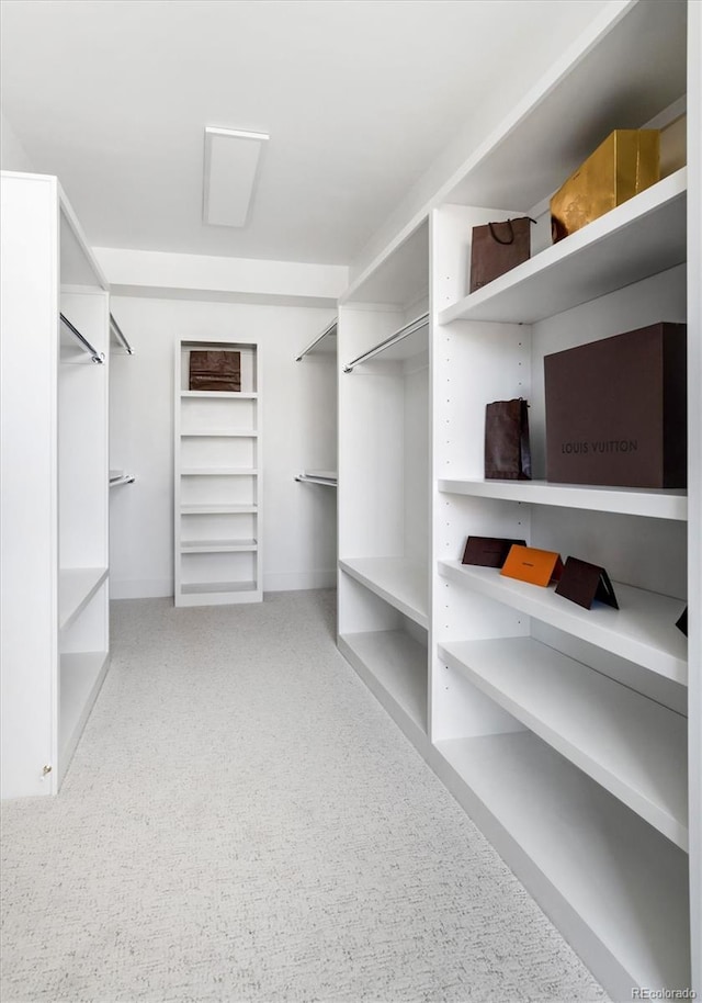 view of spacious closet