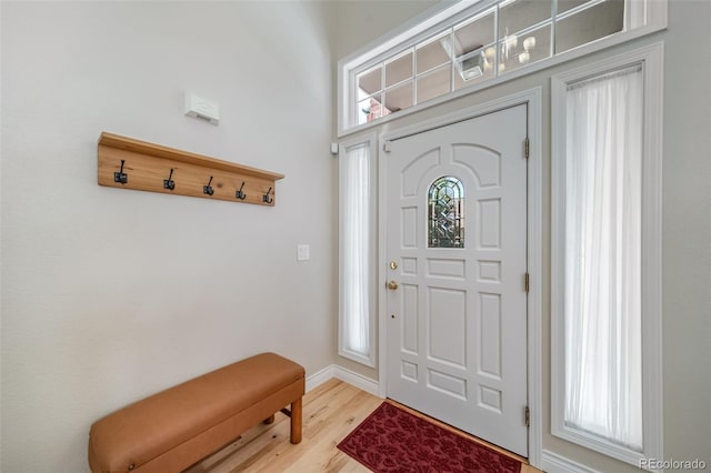 entryway with a wealth of natural light and light hardwood / wood-style floors