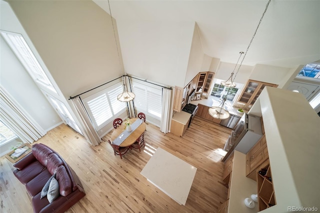 living room with a high ceiling and light hardwood / wood-style flooring