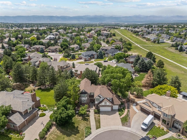 9117 Buck Hill Dr, Highlands Ranch, CO 80126 - photo 41