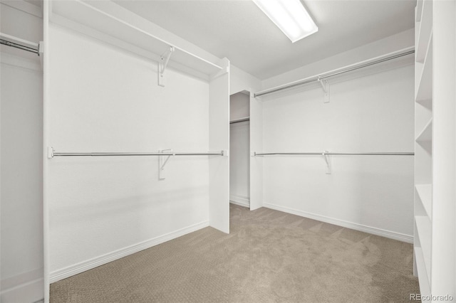 9117 Buck Hill Dr, Highlands Ranch, CO 80126 - photo 22