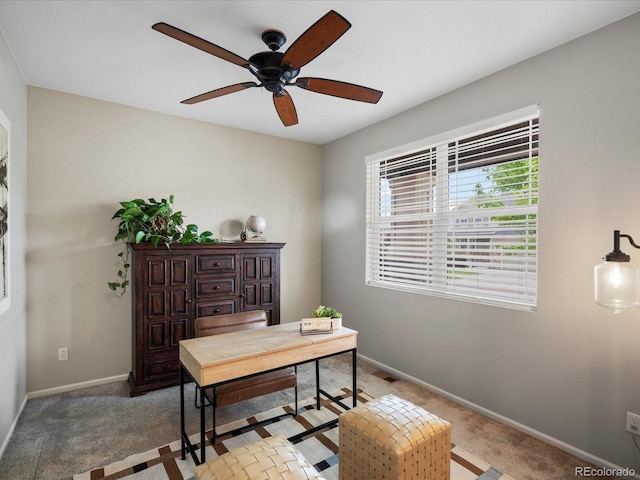 5205 Periwinkle Way, Brighton, CO 80640 - photo 5