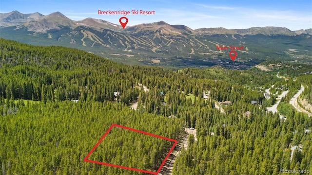 64 County Road 534, Breckenridge CO, 80424 land for sale