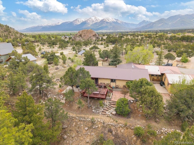 30600 County Road 371, Buena Vista, CO 81211 - view of mountain background